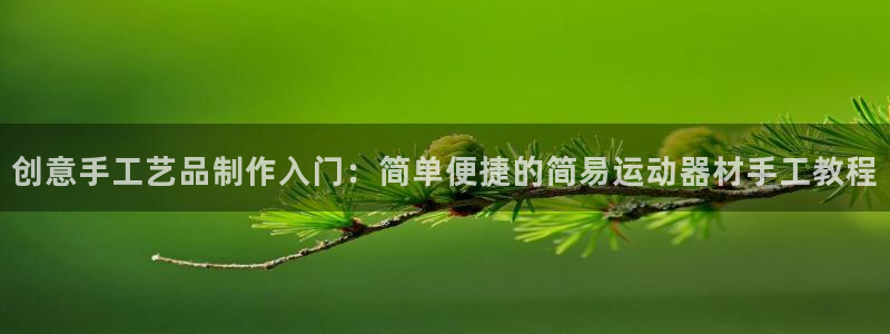 凯捷体育平台假的吗是真的吗：创意手工艺品制作入门：简