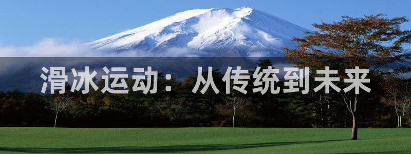 凯捷体育平台注册：滑冰运动：从传统到未来