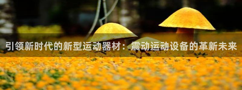 凯捷体育集团简介