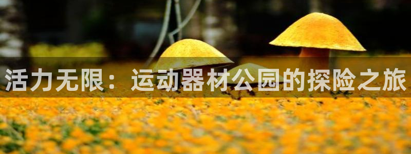 凯捷体育招商电话号码